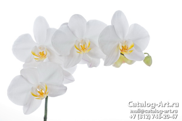 Натяжные потолки с фотопечатью - Белые орхидеи 32
